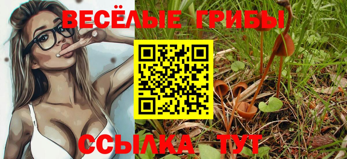 Псилоцибиновые грибы прущие грибы  Вход с VPN  Балашиха 
